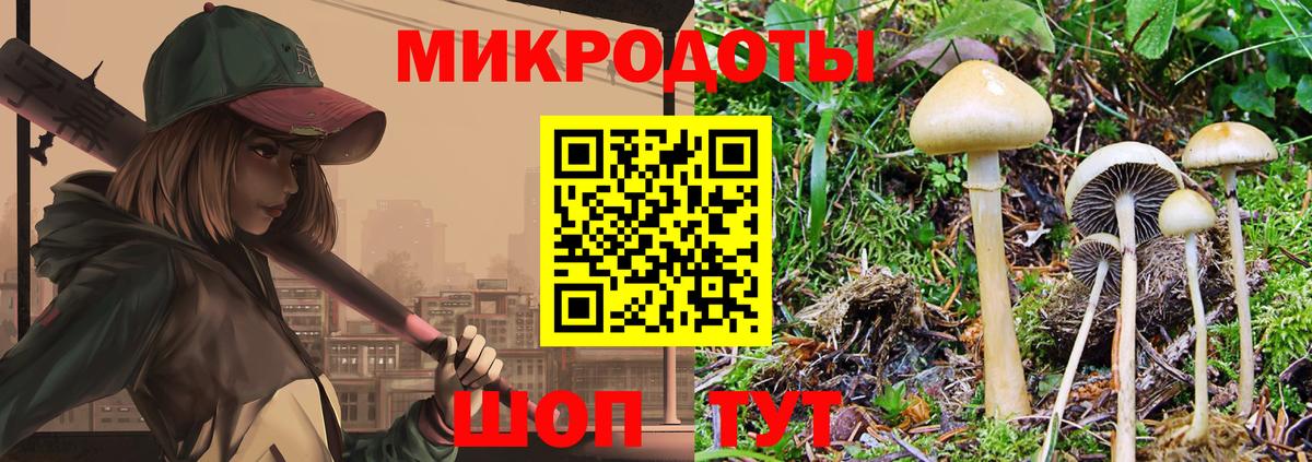Псилоцибиновые грибы Magic Shrooms  Вход с VPN  Псилоцибиновые грибы GOLDEN TEACHER  Саяногорск 